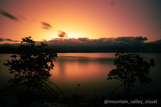 Port Douglas Golden Sunset Print - Pre Order