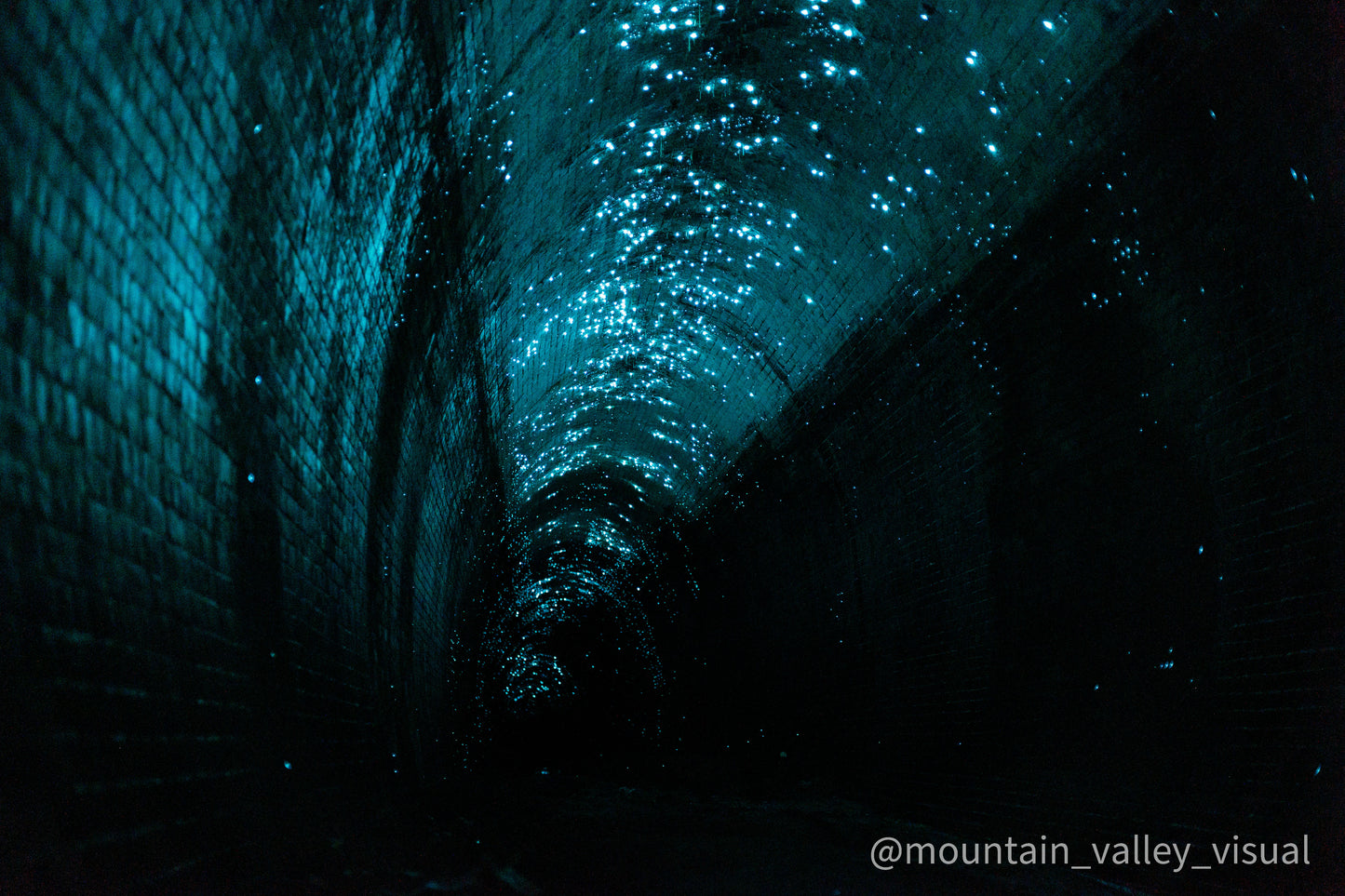 Glow Worm Tunnel Landscape Print - Pre Order