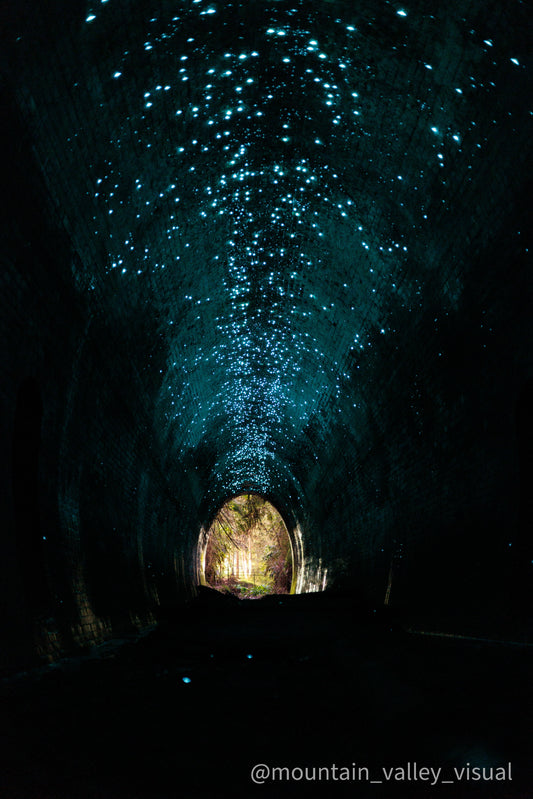 Glow Worm Tunnel Long Vertical Print - Pre Order